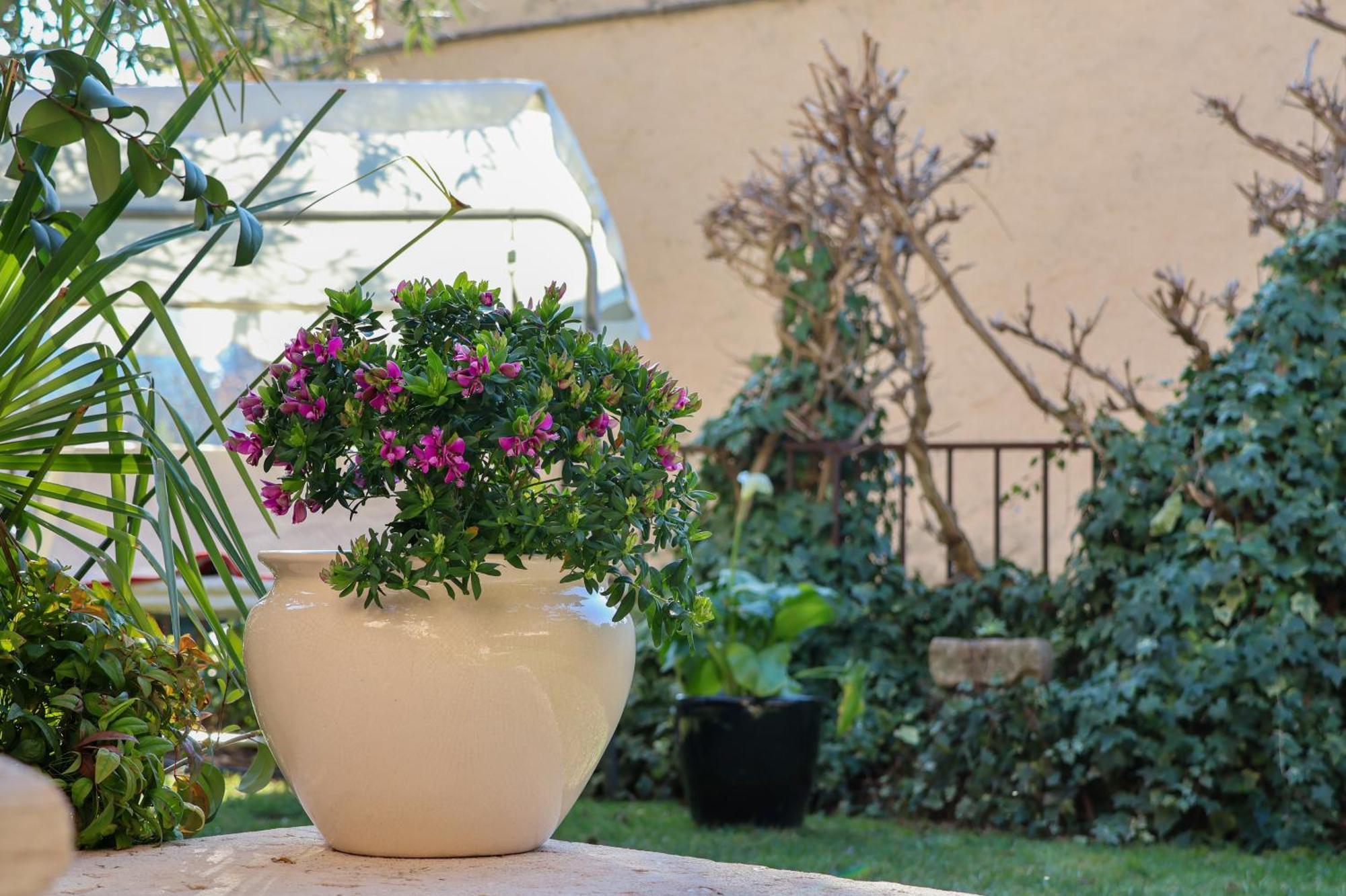 Aurelia Maison Verona Buitenkant foto
